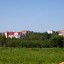Day_Russia_12_06_2011-1.jpg